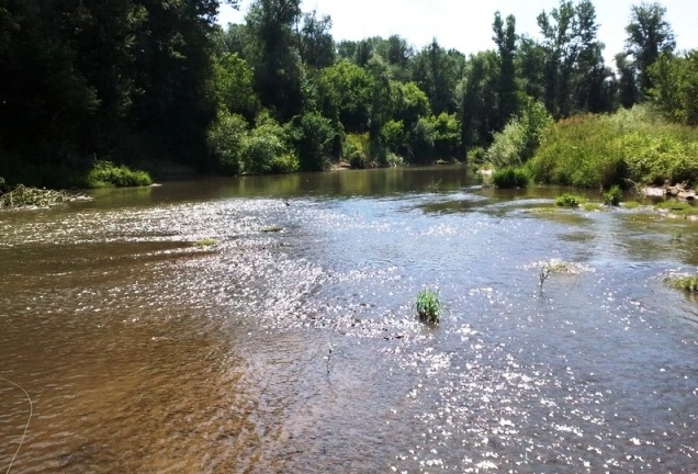slika je dekorativna